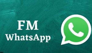 Ultimate Customization: Download FM WhatsApp Today
